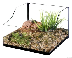 ExoTerra Exo Terra Turtle Grass