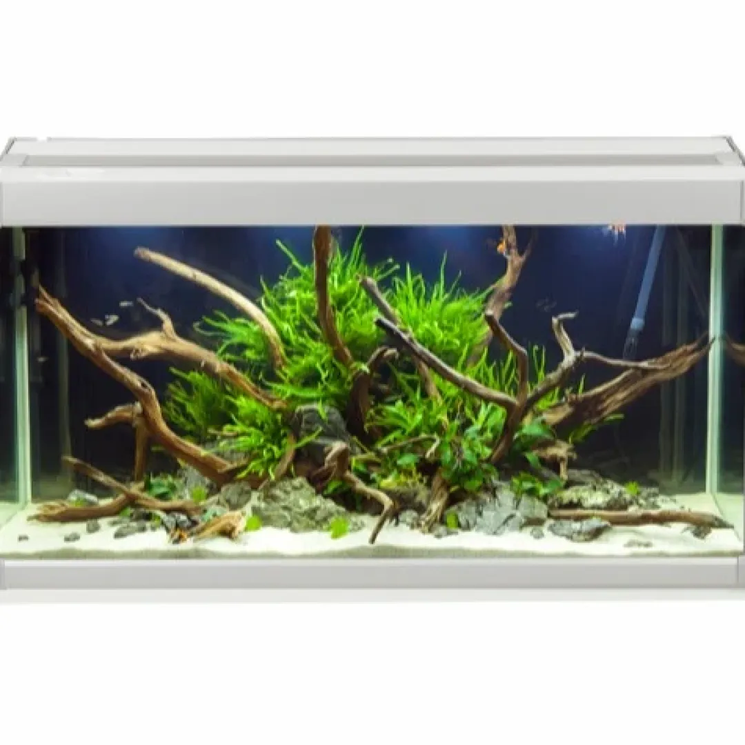 Akvastabil Family Akvarium 70x32x37 cm 80 Liter