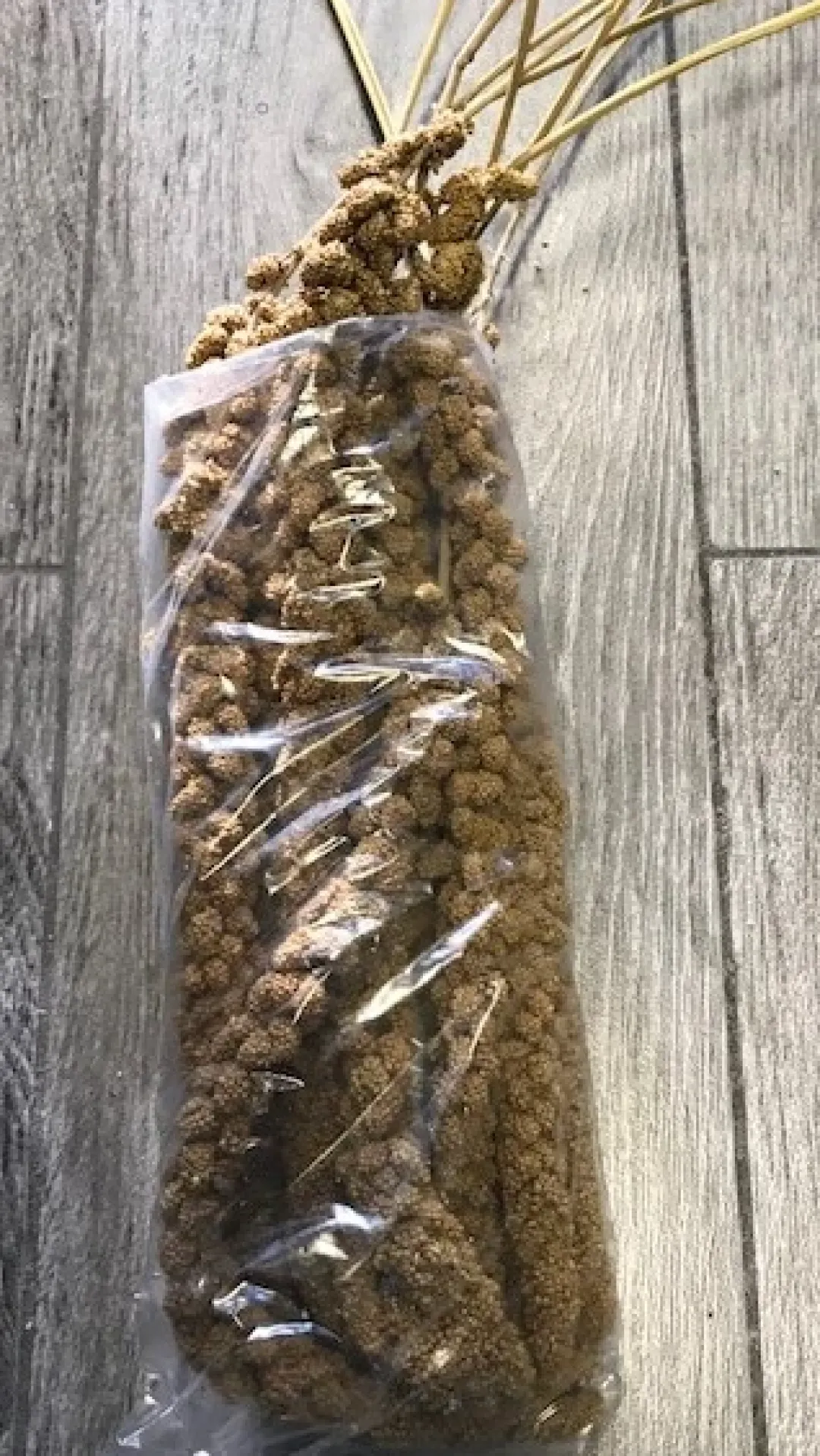 MiniZoo Franske Gule Hirsekolber 10 stk