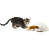MiniZoo FroliCat Fox Den til din kat