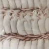 Foder til Krybdyr Frosne Mus XXL 23-30 gram 1 stk