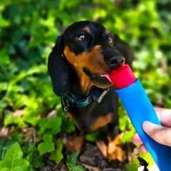 MiniZoo FÜRREE Icecream med æble