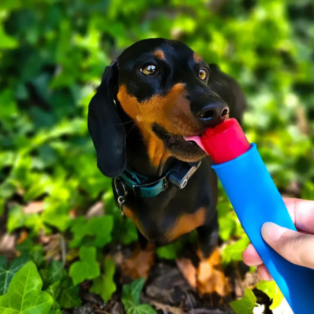 MiniZoo FÜRREE Icecream med Blå Spirulina