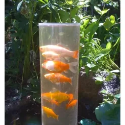 MiniZoo Guldfiskerør 100 cm