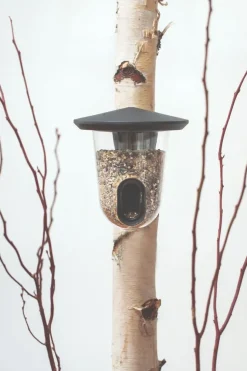 FAUNA B.V. Hello FeedR foderautomat antracit