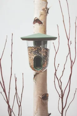FAUNA B.V. Hello FeedR foderautomat armygrøn