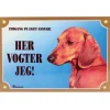 MiniZoo Her vogter jeg skilt med Gravhund