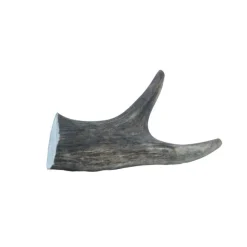 MiniZoo Hjorte Gevir Medium 75-100 g - Naturligt tyggeben til hunde