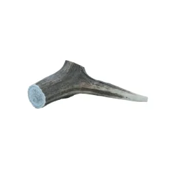 MiniZoo Hjorte Gevir Medium 75-100 g - Naturligt tyggeben til hunde