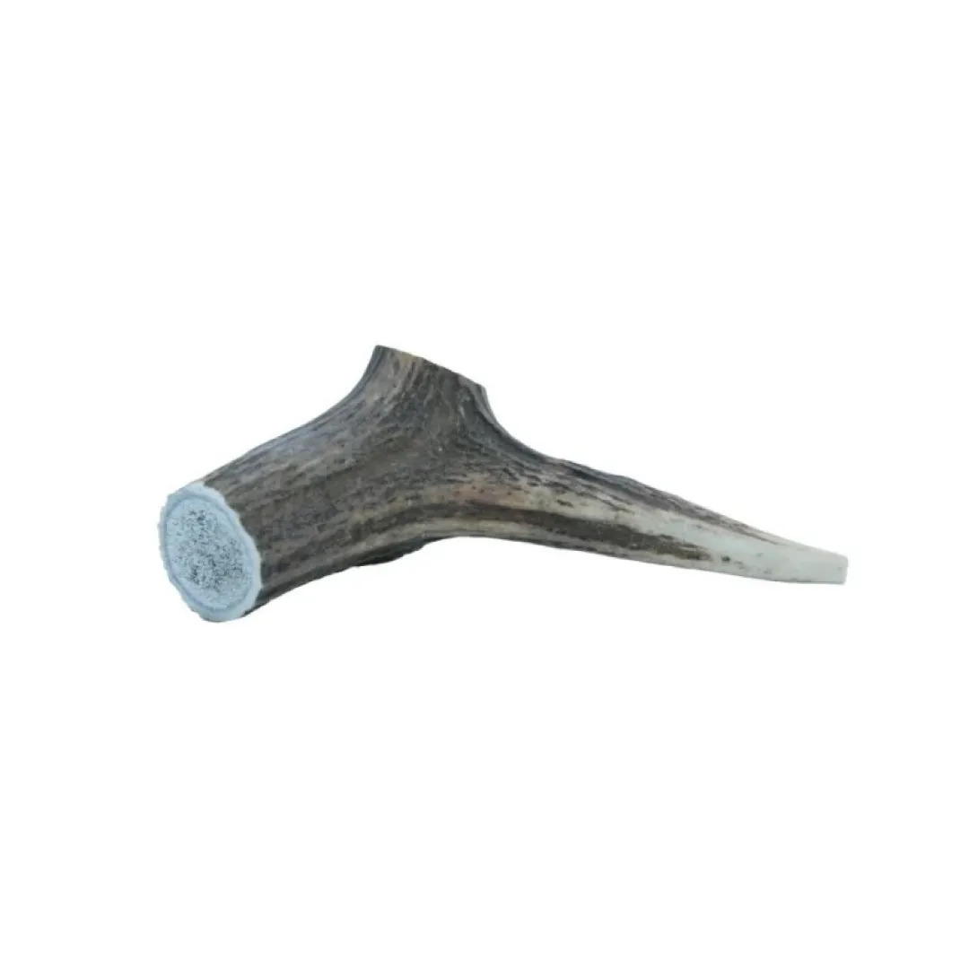 MiniZoo Hjorte Gevir Medium 75-100 g - Naturligt tyggeben til hunde