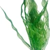 Hobby Aponogeton 25 cm