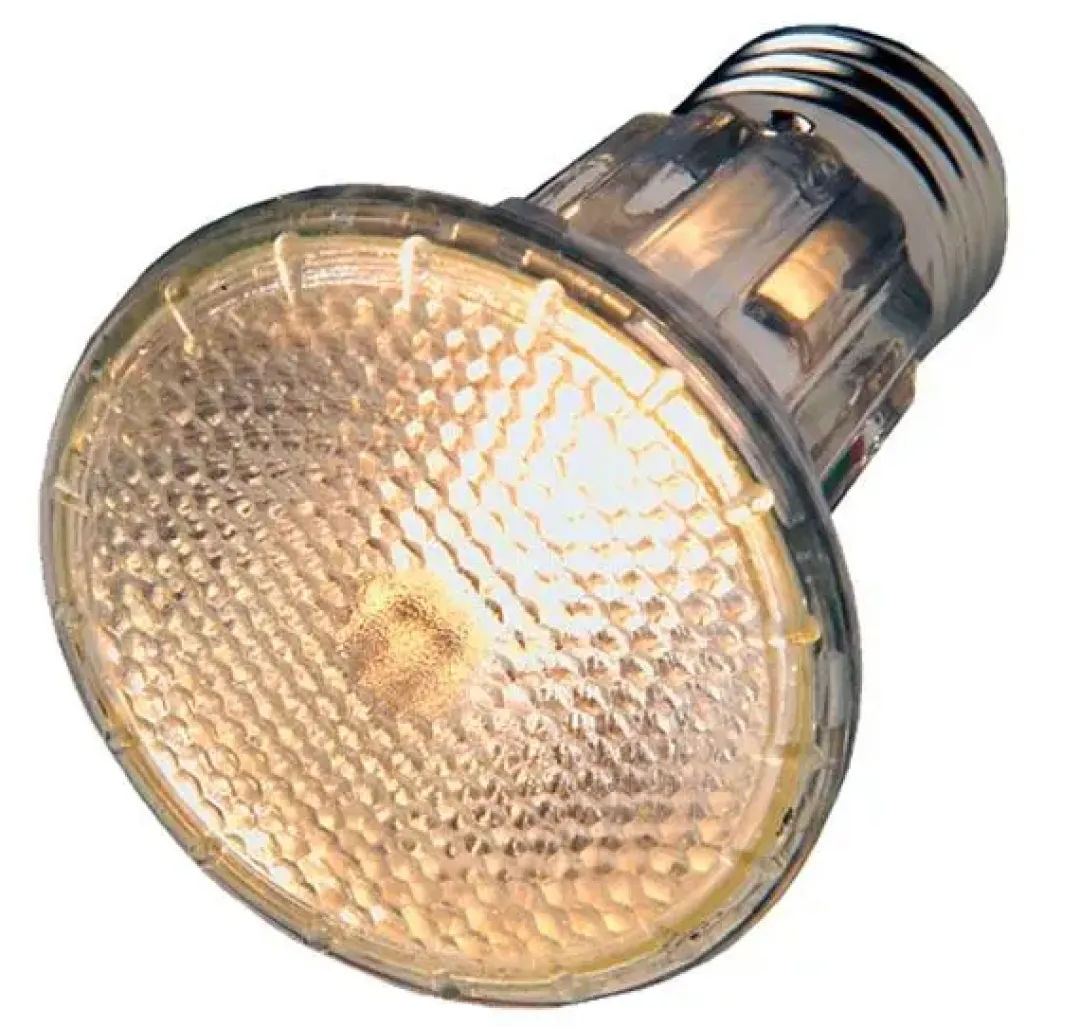 Hobby Diamond Halogen Floodlight 50 watt