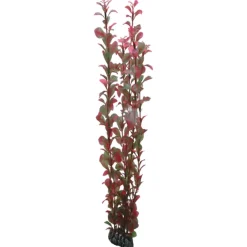 Hobby Ludwiga 60 cm
