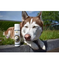 B&B Økologisk Hundeshampoo Hundefrisørens professionelle Duo Carbon shampoo 200 ml