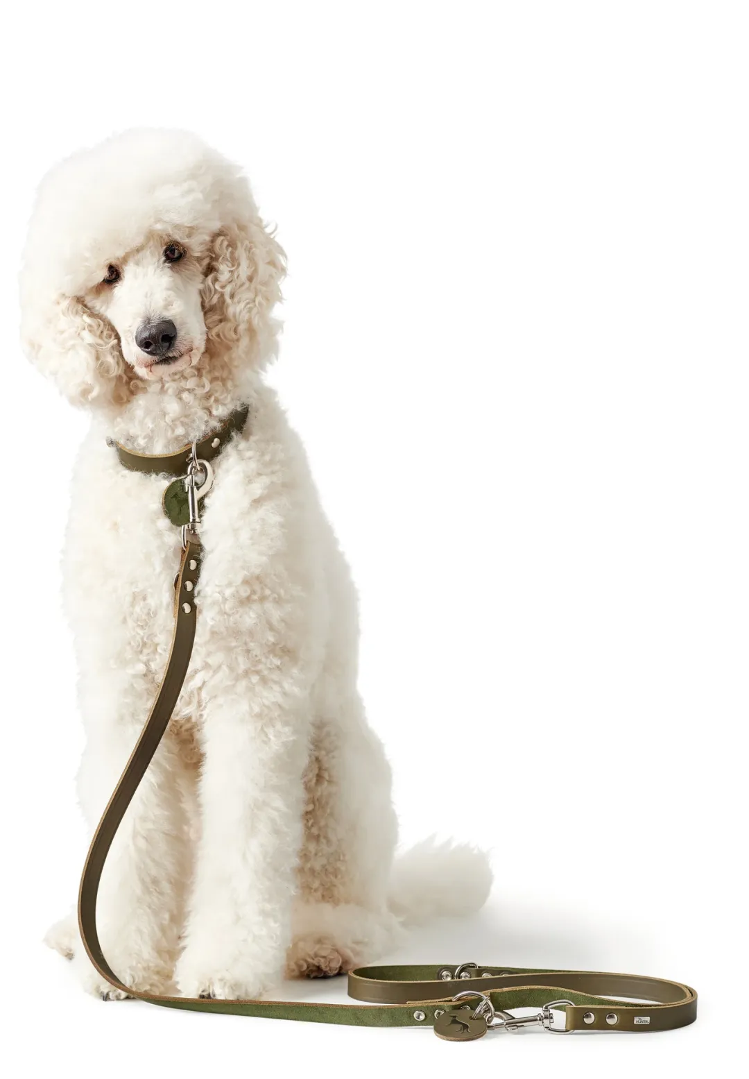 Hunter Aalborg Hundesnor Oliven 20/200