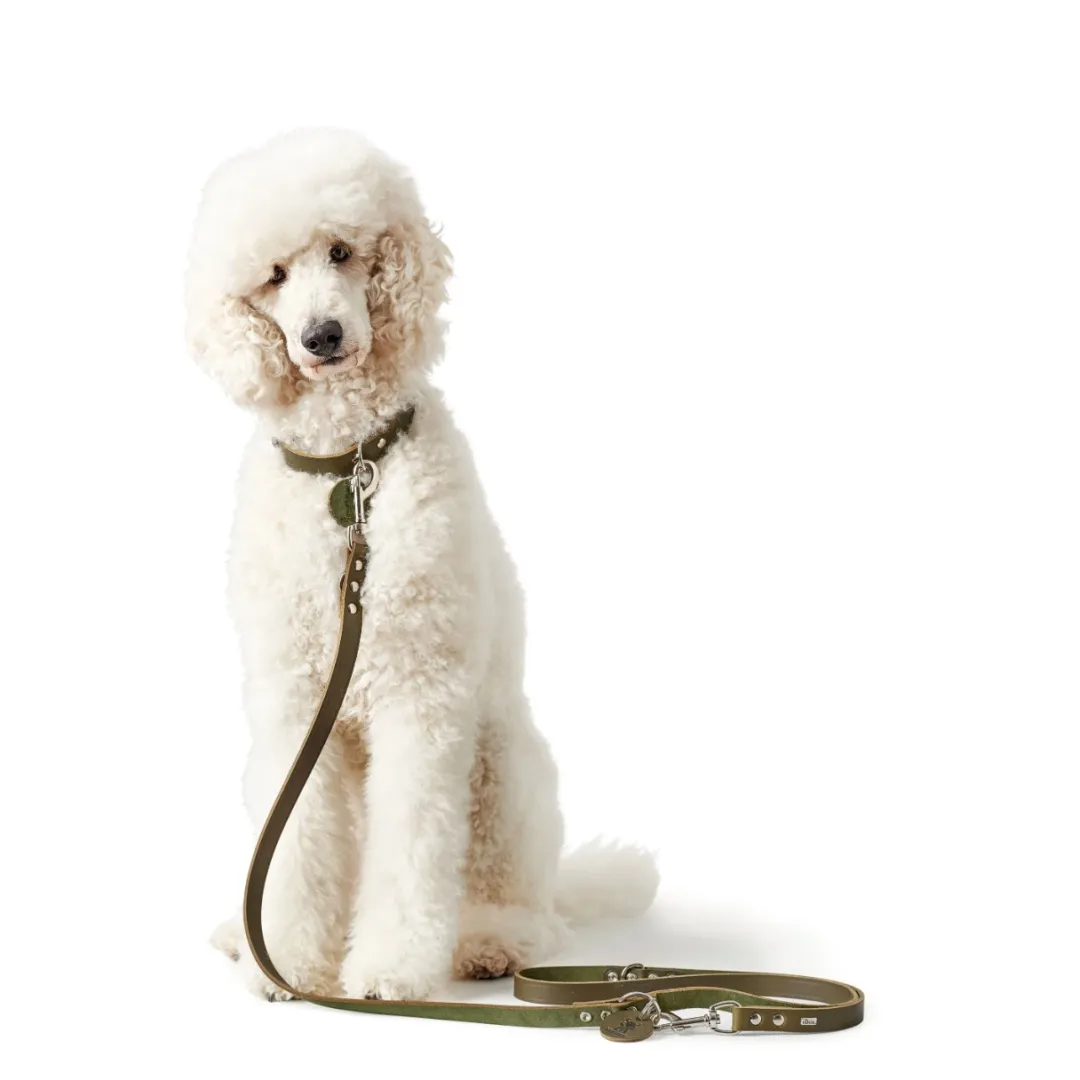 Hunter Aalborg Sport Oliven 32 hundehalsbånd - 24-29 cm