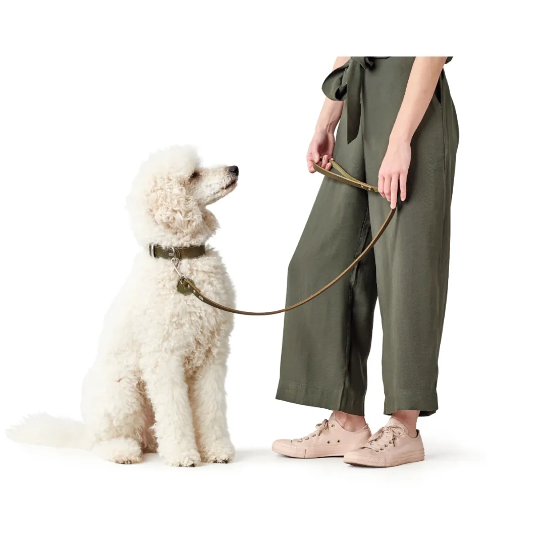 Hunter Aalborg Sport Oliven 32 hundehalsbånd - 24-29 cm