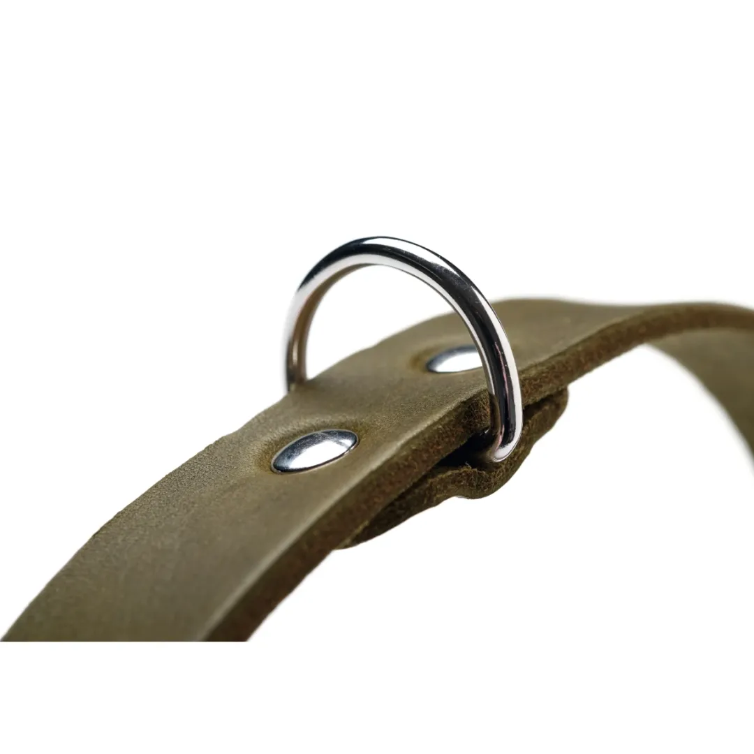 Hunter Aalborg Sport Oliven 32 hundehalsbånd - 24-29 cm