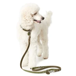 Hunter Aalborg Sport Oliven 47 hundehalsbånd - 37-43 cm