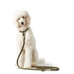 Hunter Aalborg Sport Oliven 52 hundehalsbånd - 38-47 cm