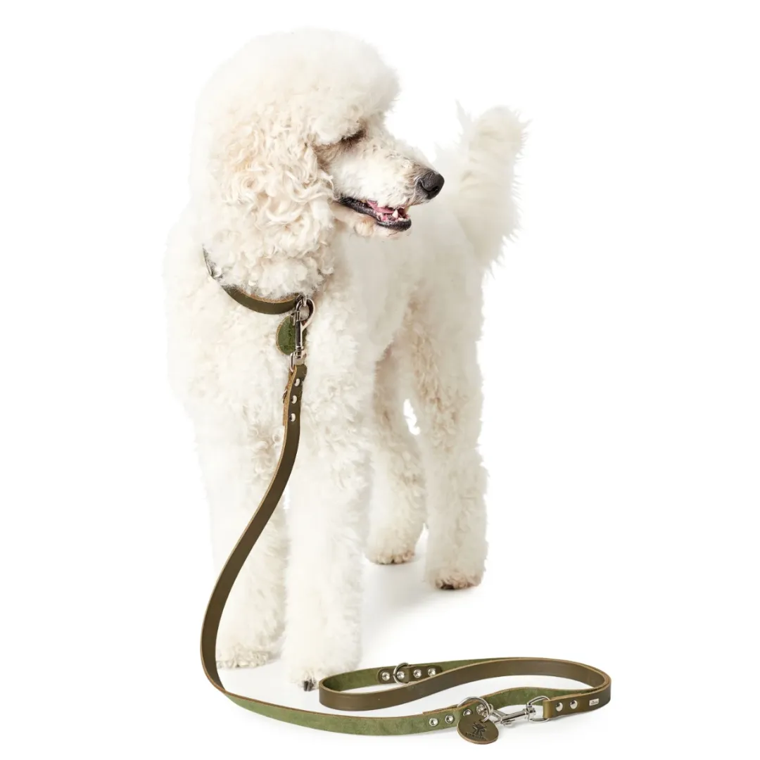 Hunter Aalborg Sport Oliven 60 hundehalsbånd - 45-55 cm
