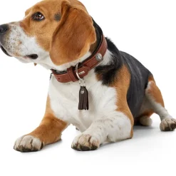 Hunter Cody 45 Cognac Mørkebrun hundehalsbånd - 33-39 cm