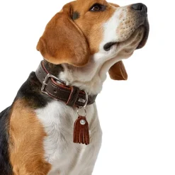 Hunter Cody 40 Mørkebrun Cognac hundehalsbånd - 29-35 cm