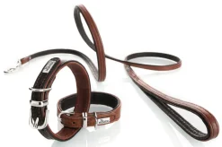 Hunter Cody Petit 30 Cognac Mørkebrun hundehalsbånd