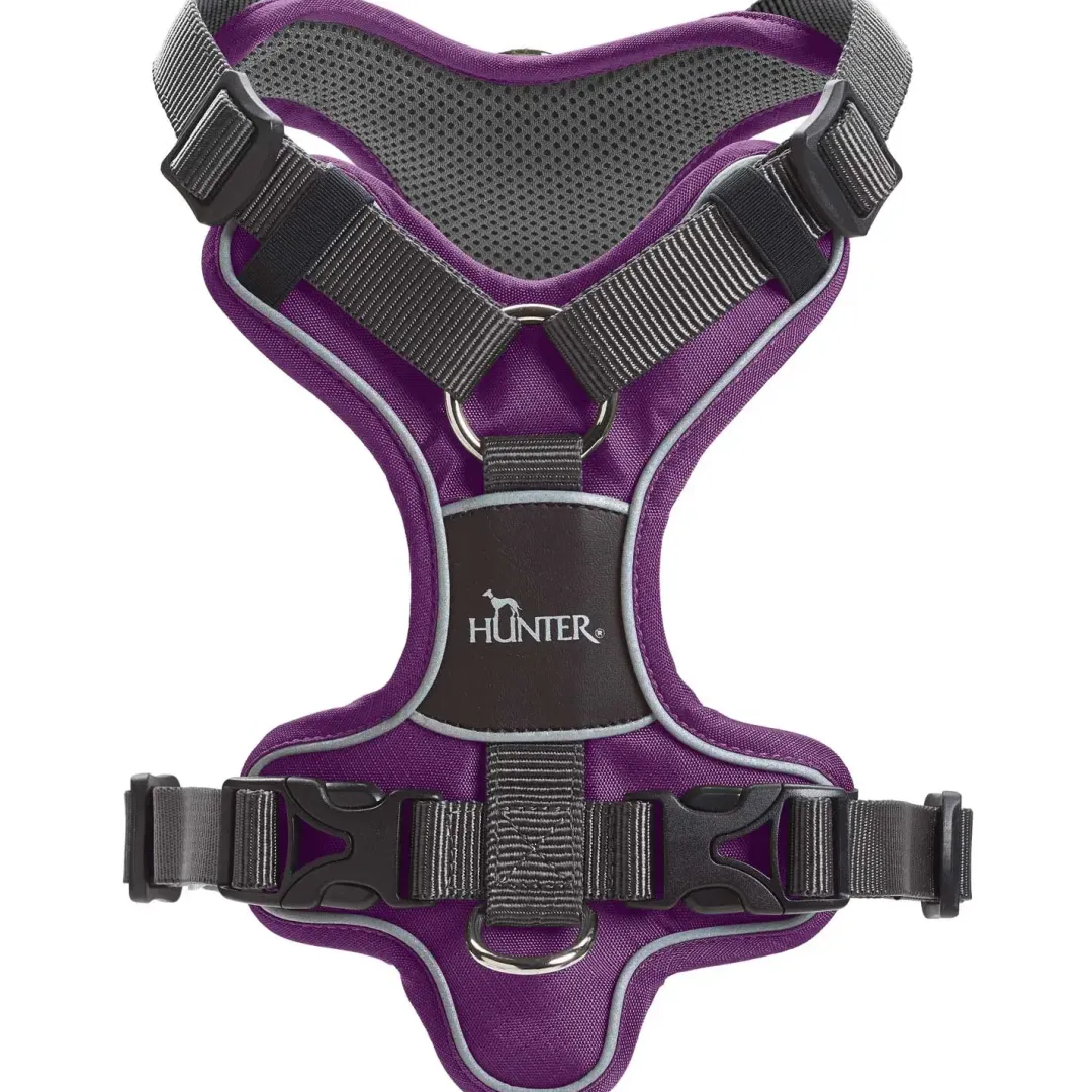 Hunter Divo hundesele L violet/grå just mave 72-100 cm - Stabil støtte og fri bevægelse