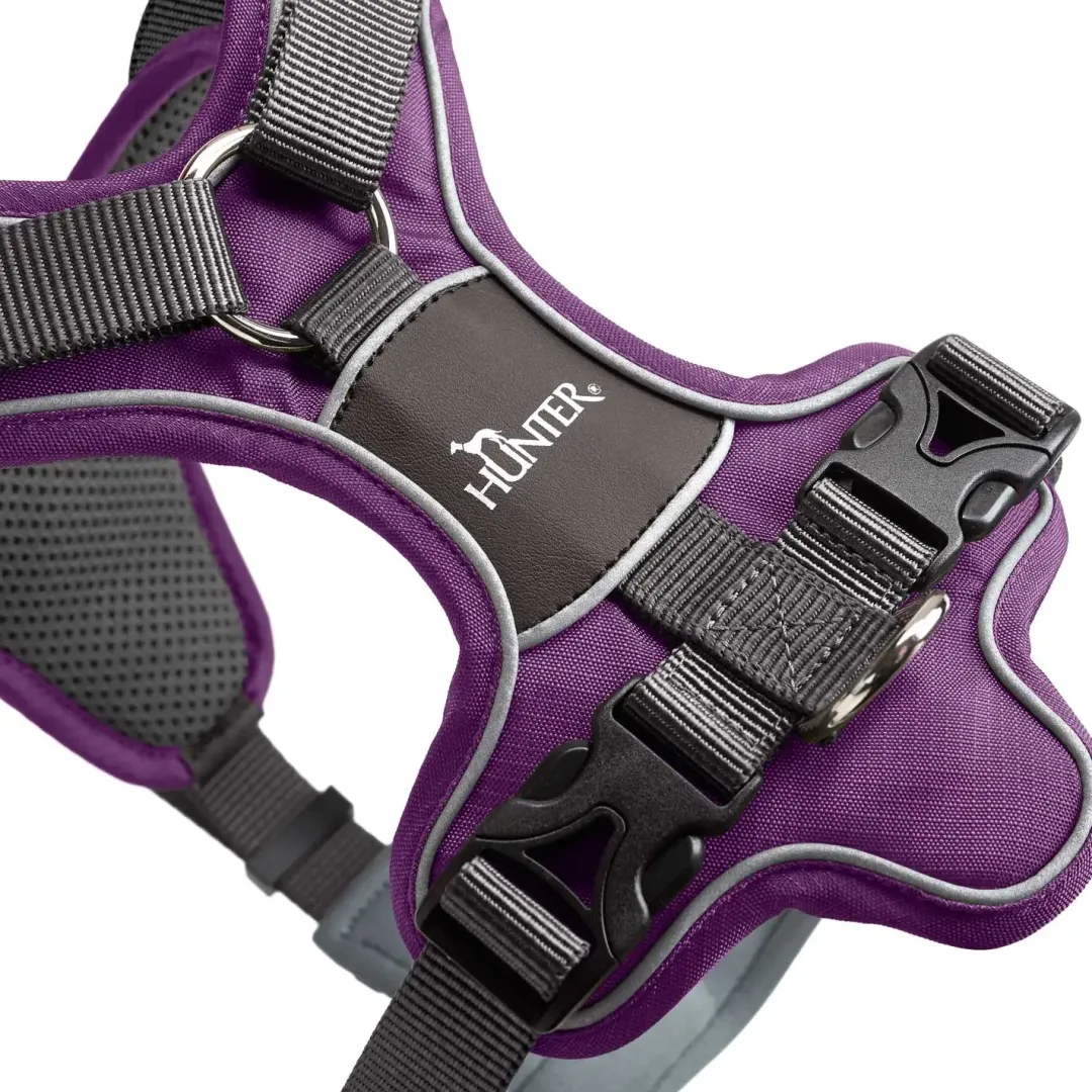 Hunter Divo hundesele L violet/grå just mave 72-100 cm - Stabil støtte og fri bevægelse