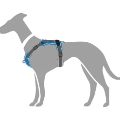 Hunter Divo hundesele M lyseblå/grå just mave 56-73 cm - Stabil pasform og aktiv komfort