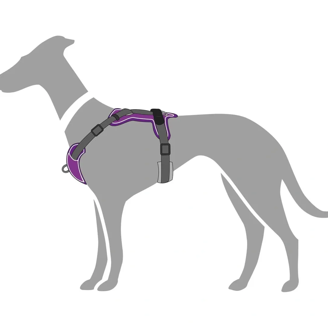 Hunter Divo hundesele M violet/grå just mave 56-73 cm - Balanceret pasform og komfort