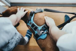 Hunter Divo hundesele S-M lyseblå/grå just mave 52-68 cm - Fleksibel støtte og komfort