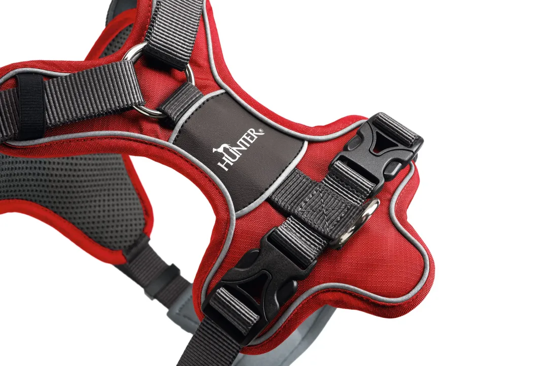 Hunter Divo hundesele S-M rød/grå just mave 52-68 cm - Fleksibel støtte til aktive ture