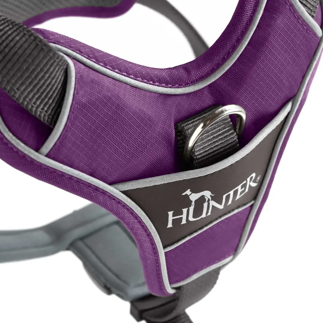 Hunter Divo hundesele XS violet/grå just mave 34-47 cm - Stabil kontrol og komfort
