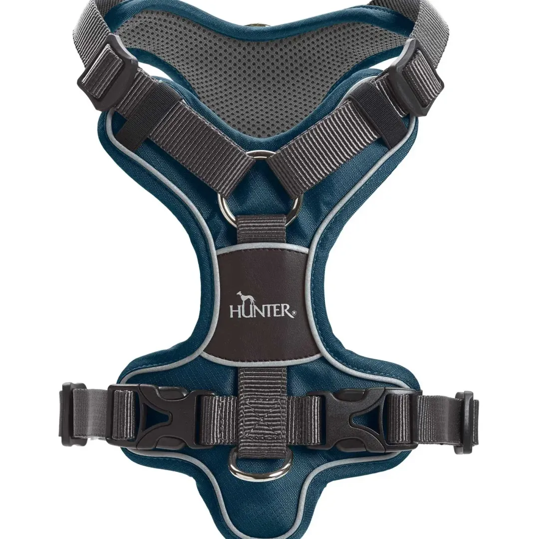 Hunter Divo Up hundesele L petrol/grå just mave 72-100 cm - Stabil kontrol og komfort