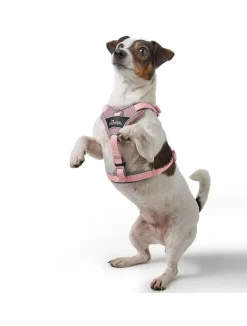 Hunter Divo Up hundesele S lyserød just mave 45-56 cm - Rolig påtagning og stabil komfort