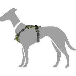 Hunter Divo Up hundesele S-M grøn/grå just mave 52-68 cm - Stabil komfort i hverdagen