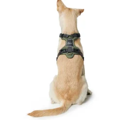 Hunter Divo Up hundesele S-M grøn/grå just mave 52-68 cm - Stabil komfort i hverdagen