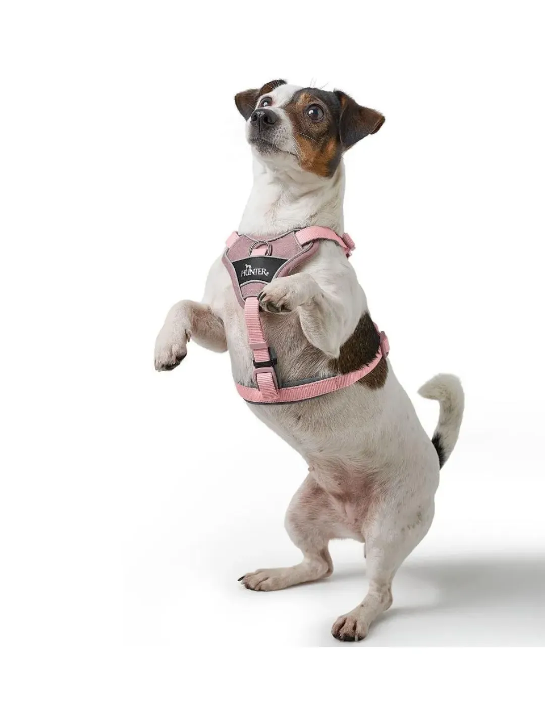 Hunter Divo Up hundesele S-M lyserød just mave 52-56 cm - Fleksibel pasform og rolig bevægelse