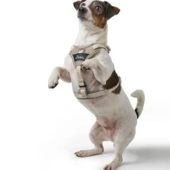 Hunter Divo Up hundesele XS beige just mave 34-47 cm - Nem påtagning og ergonomisk komfort