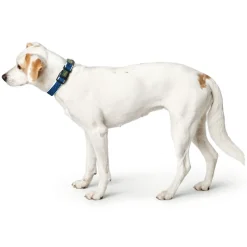 Hunter hunde halsbånd Hilo Blå L-XL - justerbart hundehalsbånd (40-60 cm, B 3,2 cm)