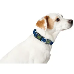 Hunter hunde halsbånd Hilo Blå XL - justerbart hundehalsbånd (45-70 cm, B 3,8 cm)