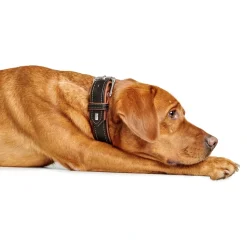 Hunter Hundehalsbånd læder Canada Elg Str.45 Sort/Cognac - 33-39 cm