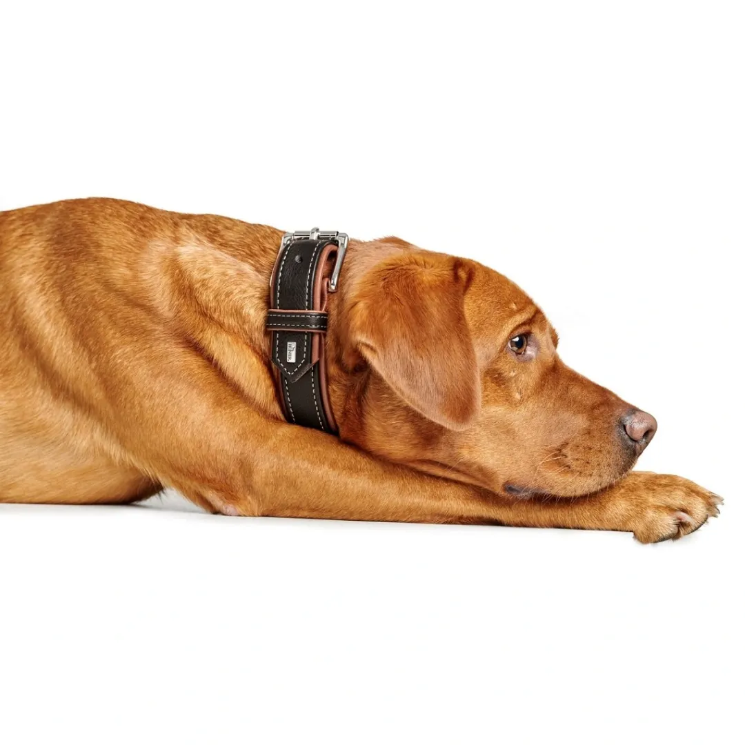 Hunter Hundehalsbånd læder Canada Elg Str.45 Sort/Cognac - 33-39 cm