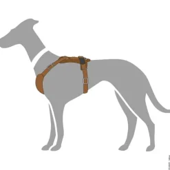 Hunter Hundesele Aalborg cognac S-M/1 - Bryst/hals 44-56 cm