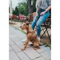 Hunter Hundesele Aalborg cognac XXL (M-L/2) - Bryst/hals 62-90 cm