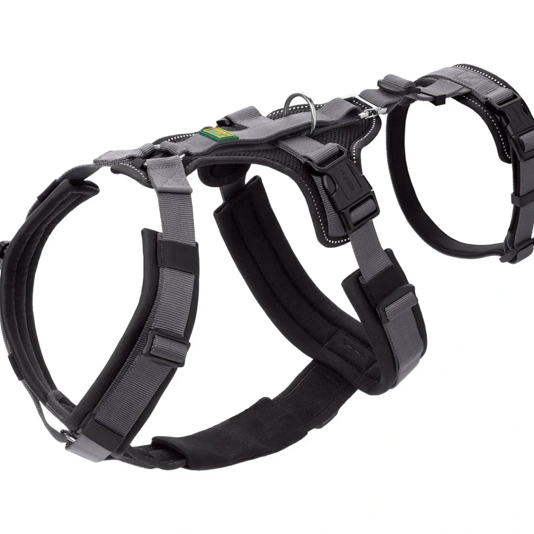 Hunter hundesele Safety Maldon Gråsort XS-S længde 38-62 cm 2,0 cm - sikker og smidig pasform