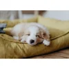 Hunter hundeseng Eiby Stor 100x70 cm Gul