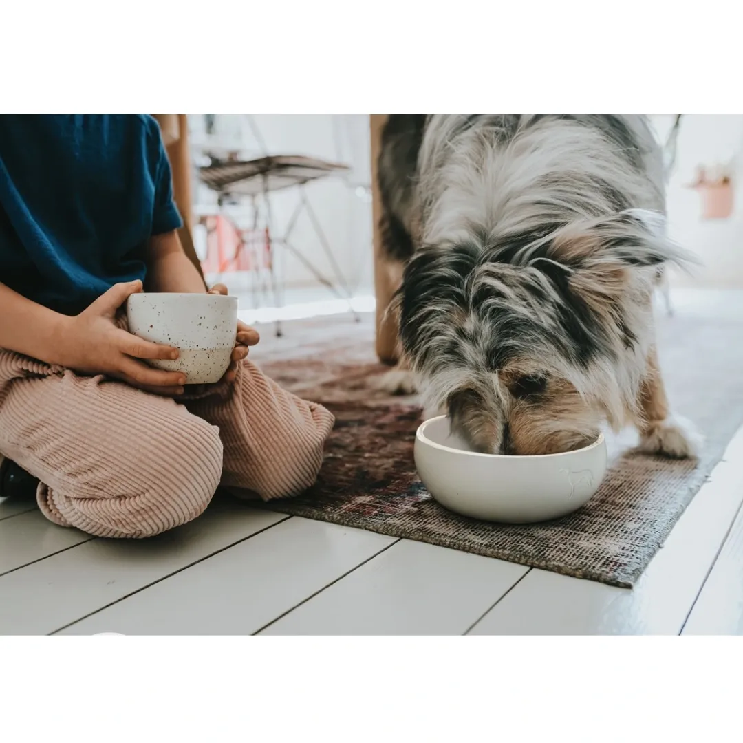 Hunter keramik Lund hunde skål 1500 ml Beige